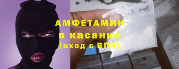 прущие грибы Богданович