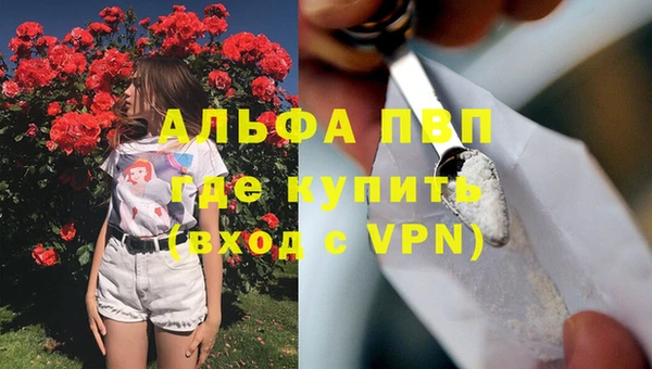 apvp Белокуриха