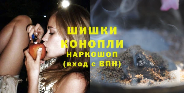 молекула духа Богородицк