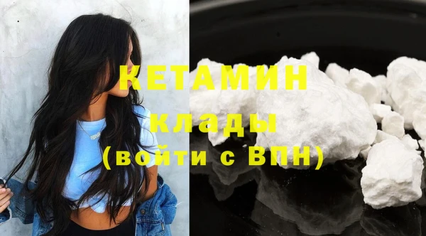 прущие грибы Богданович